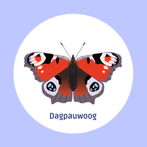 Dagpauwoog